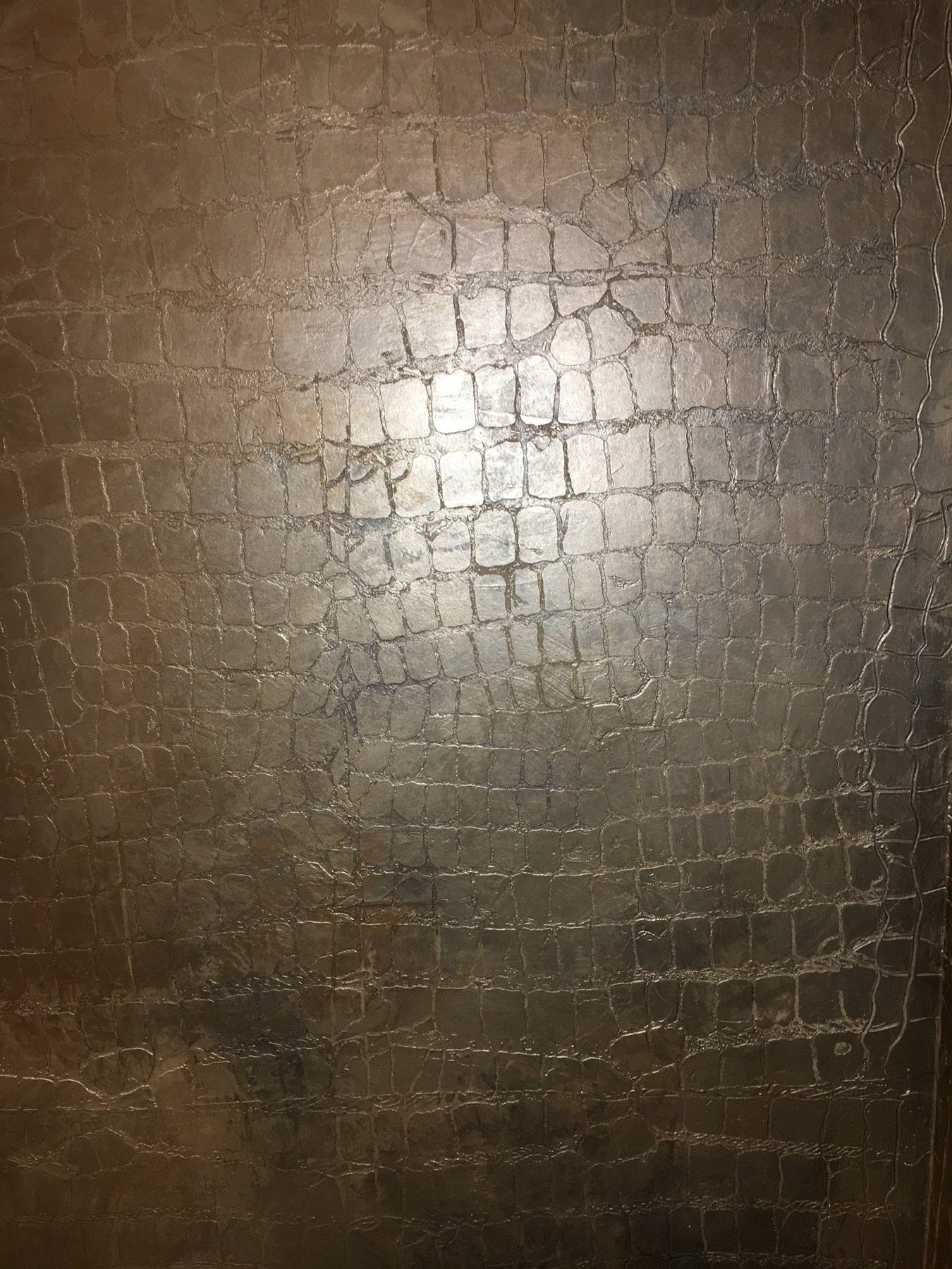 Metallic Croc Wall Workshop – TheFauxPro Studio